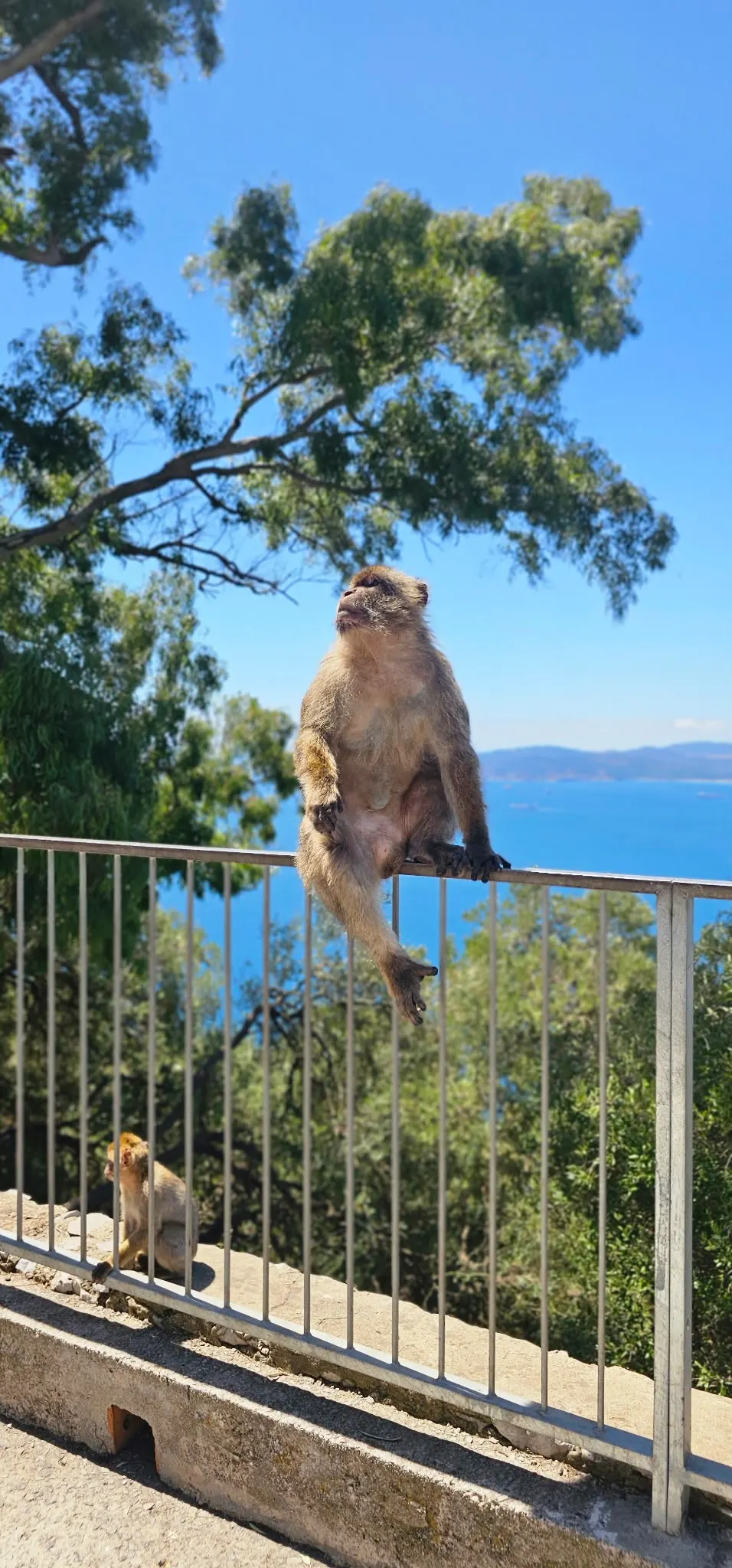 Gibraltar